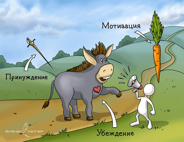 <area alt="мотивация, система мотивации, разработка системы мотивации-32">